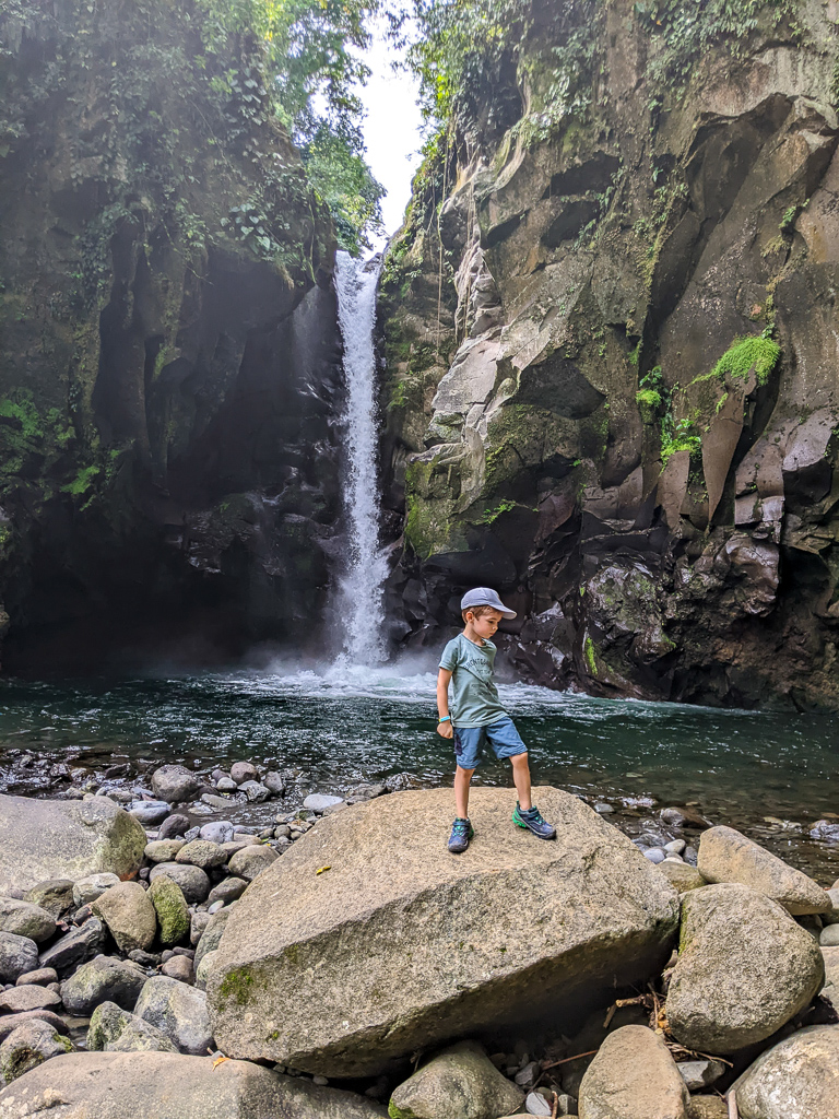 Robin devant une catarata